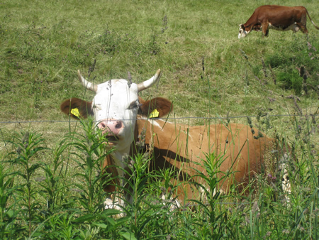 freizeit_08.jpg (8314 Byte)